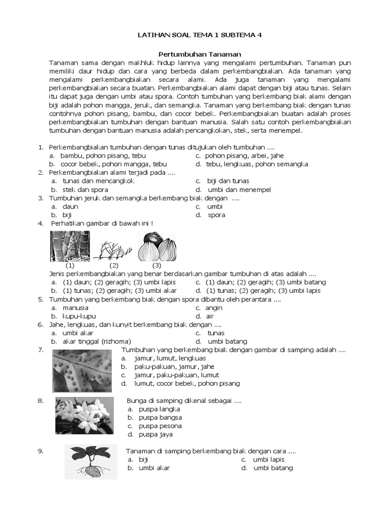 Terbukti Mudah! 3 Langkah Cepat Download Soal Tema 1 Subtema 4 Kelas 3 Sebelum Terlambat